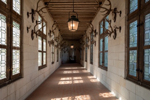 Longue galerie du château de Chambord : murs de pierre percés de fenêtres à vitraux losangés, plafond à poutres apparentes, une lanterne suspendue au centre, des bois et crânes de cerfs fixés au mur de part et d'autre, sol carrelé de terre cuite éclairé par la lumière du jour.