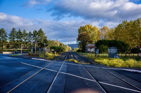 Un passage à niveau vu depuis le milieu de la route : deux voies ferrées filent tout droit vers des collines bleutées, bordées à gauche de pins et à droite de peupliers jaunis par l'automne, sous un ciel bleu chargé de nuages, dans la lumière rasante du matin.